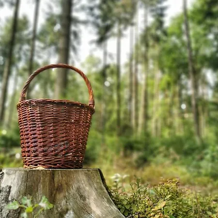 V Podkrovi Ржички